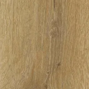 Boulevard Plus - Kyoto