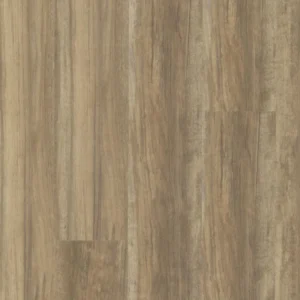 CCA Rigid - Hawaiian Koa - Scb5522