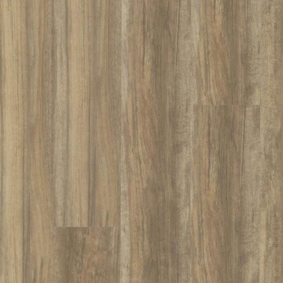 CCA Rigid - Hawaiian Koa - Scb5522