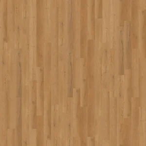 Cliff Palace Dwelling - Prairie Run