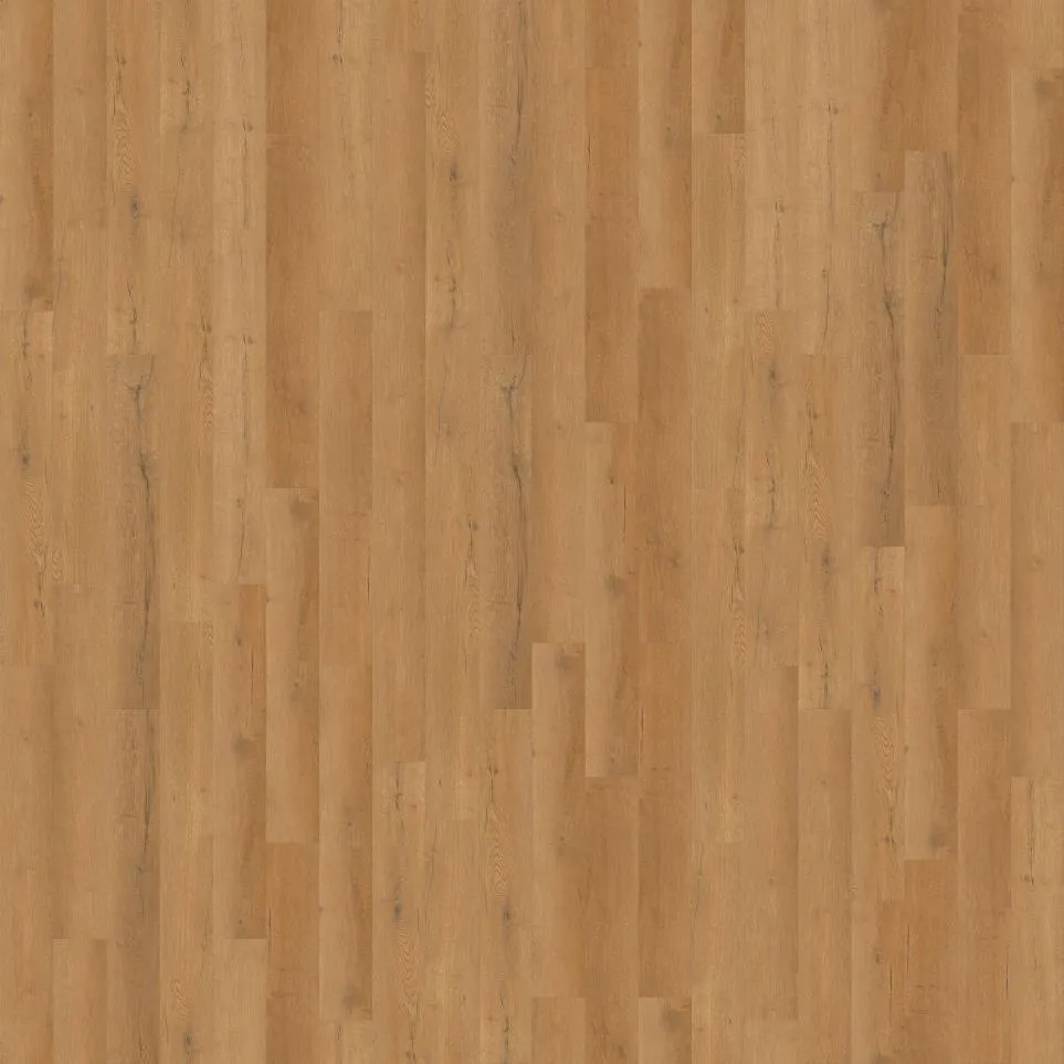 Cliff Palace Dwelling - Prairie Run