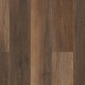 Coretec Pro Plus Hd 9 - Cheshire Elm