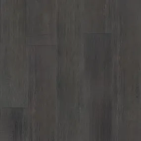 Discovery Flex - Coal