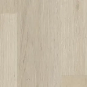 Evergen - Divine - Prosecco