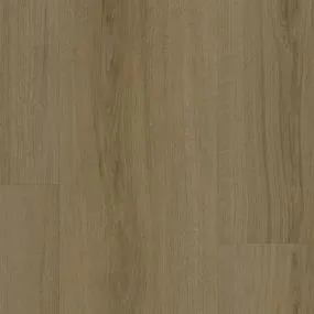 Evergen - Infinite - Brilliant