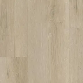 Evergen - Sublime - Vibrant