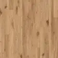 Natural Oak